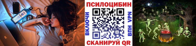 Купить закладки  Касли  Галлюциногенные грибы Psilocybe 